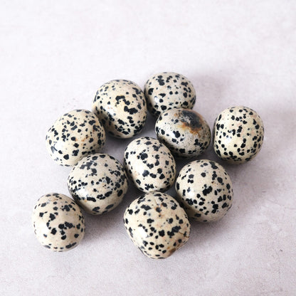 Dalmation Jasper Tumbles | Crystal Tumble Stones